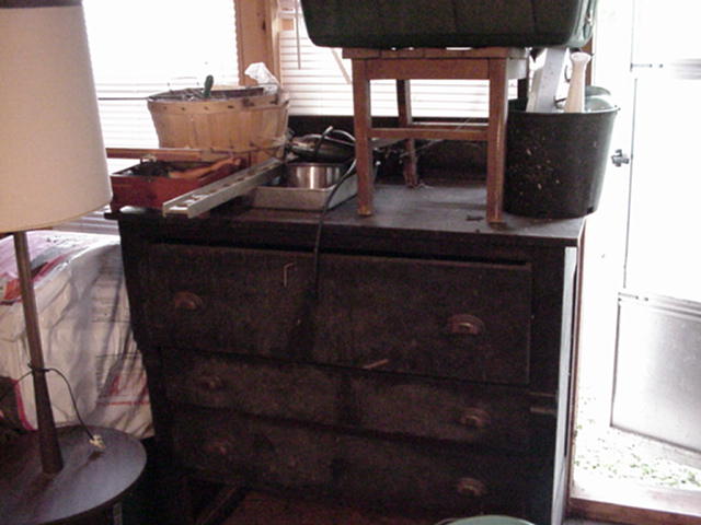 Auction Photo