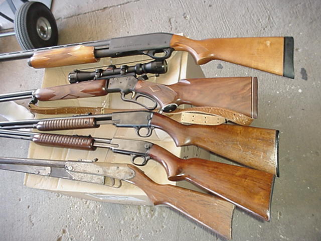 Auction Photo