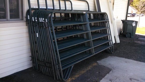Auction Photo