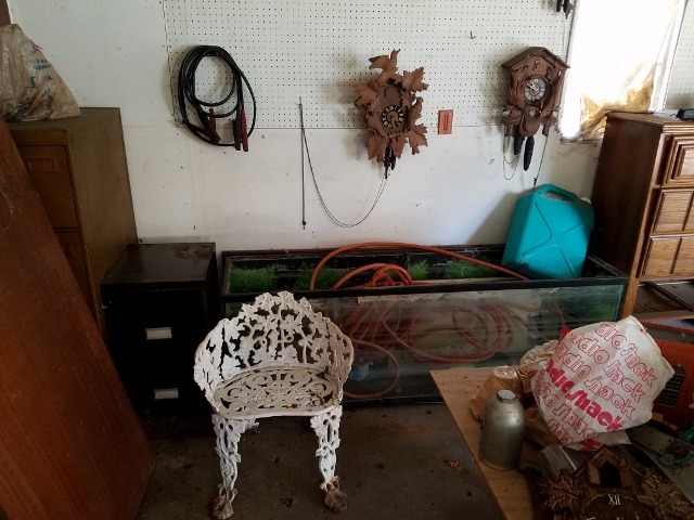 Auction Photo