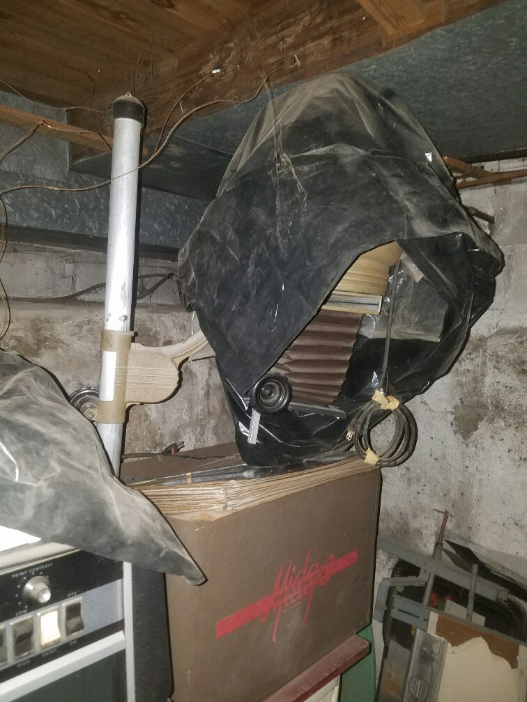 Auction Photo