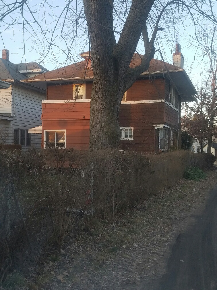 Auction Photo