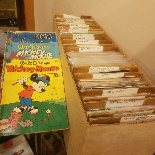 Auction Photo