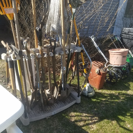Auction Photo
