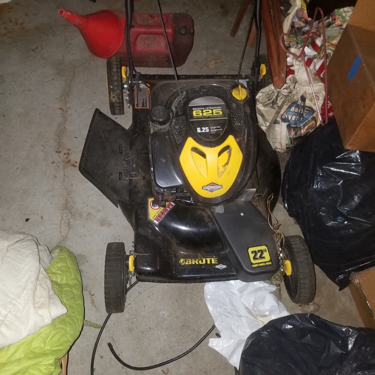 Auction Photo