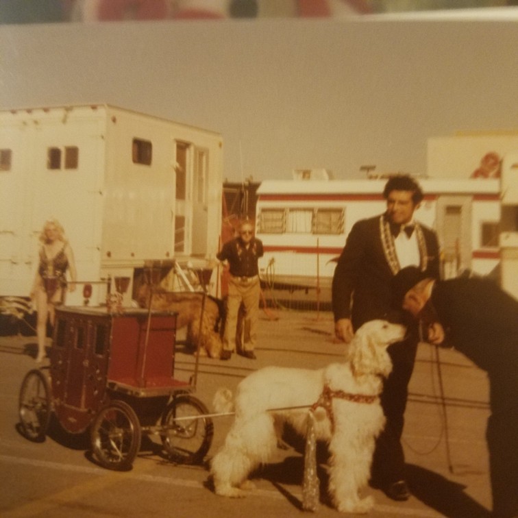 Auction Photo