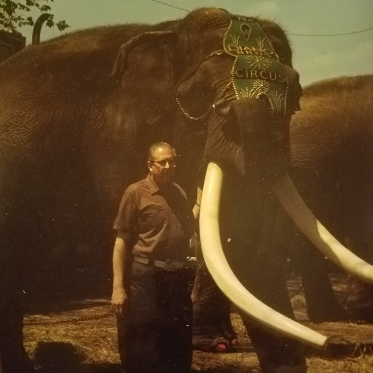 Auction Photo