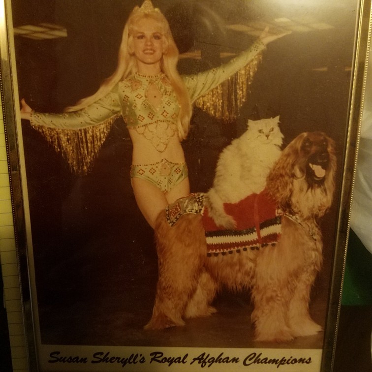 Auction Photo