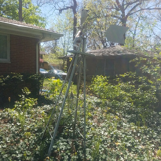 Auction Photo
