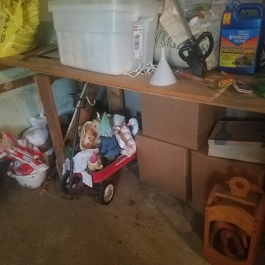 Auction Photo
