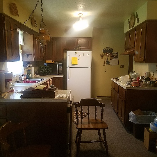 Auction Photo