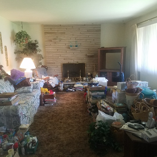 Auction Photo