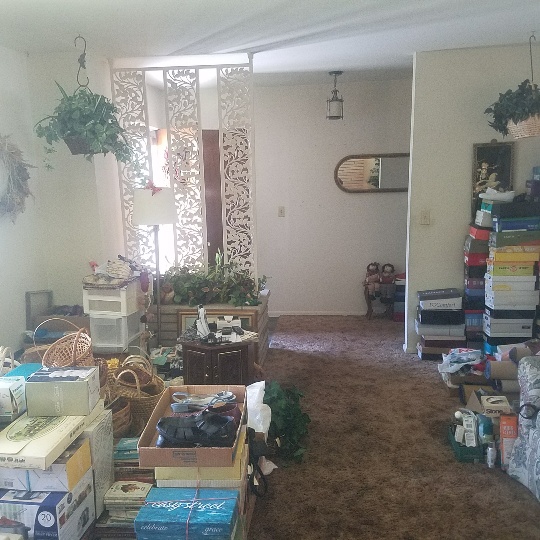 Auction Photo