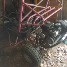 Auction Photo