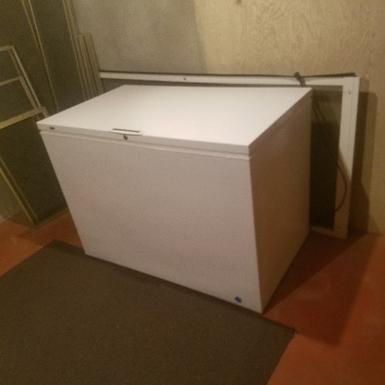 Auction Photo