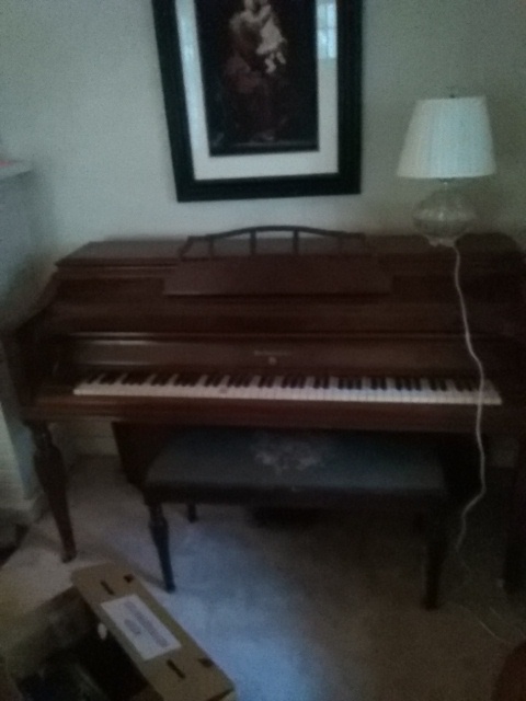 Auction Photo