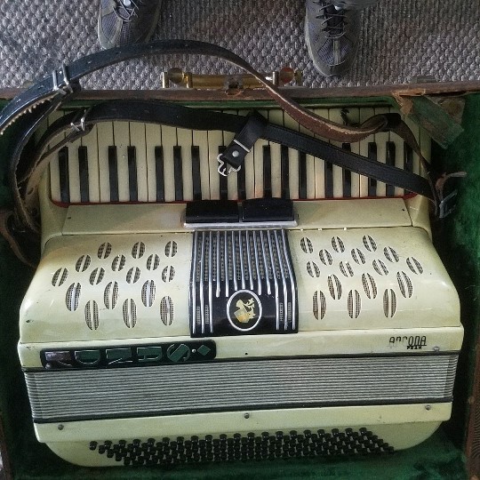 Auction Photo