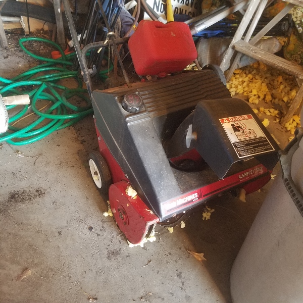 Auction Photo