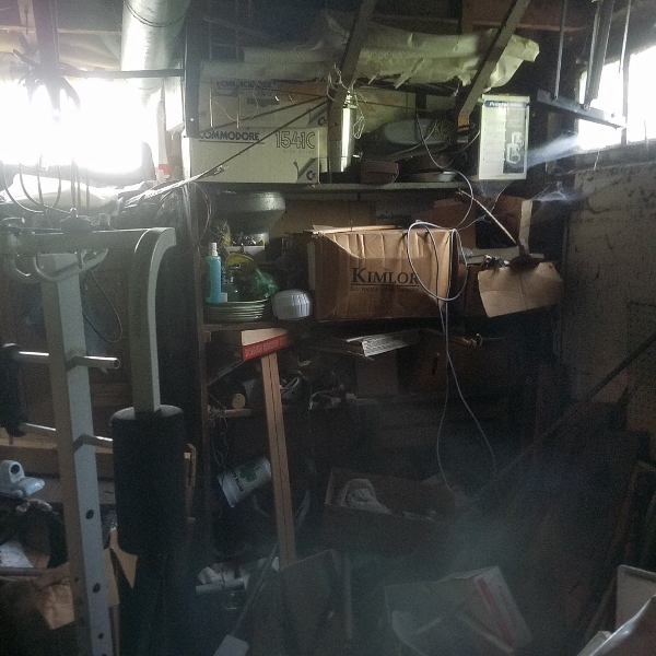 Auction Photo