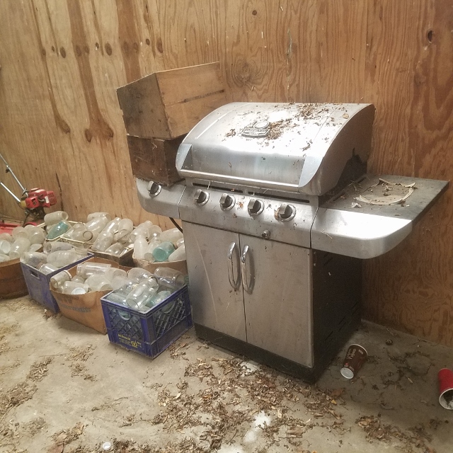 Auction Photo