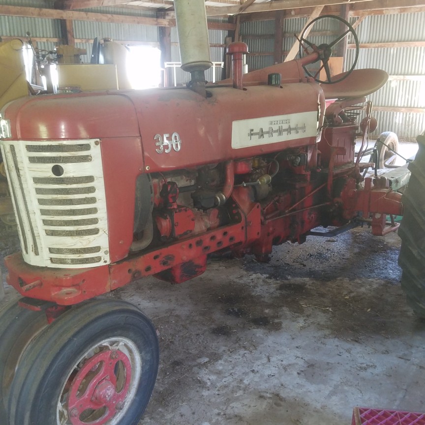 Auction Photo