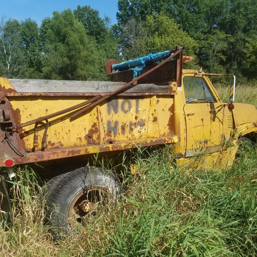 Auction Photo
