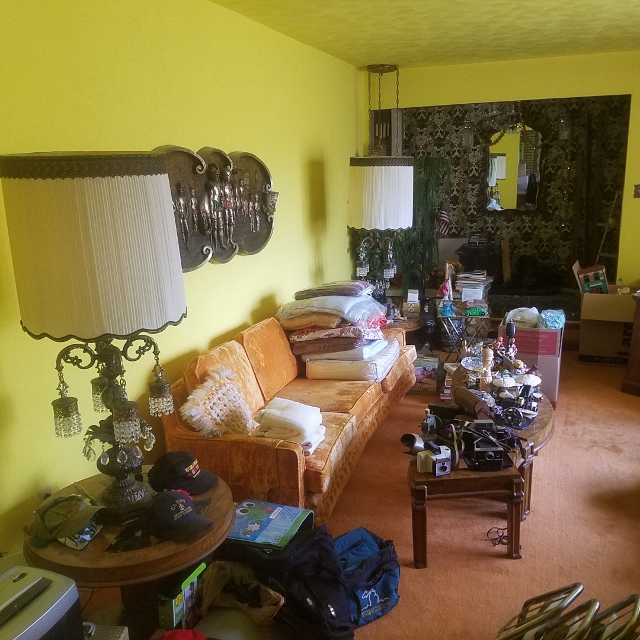 Auction Photo