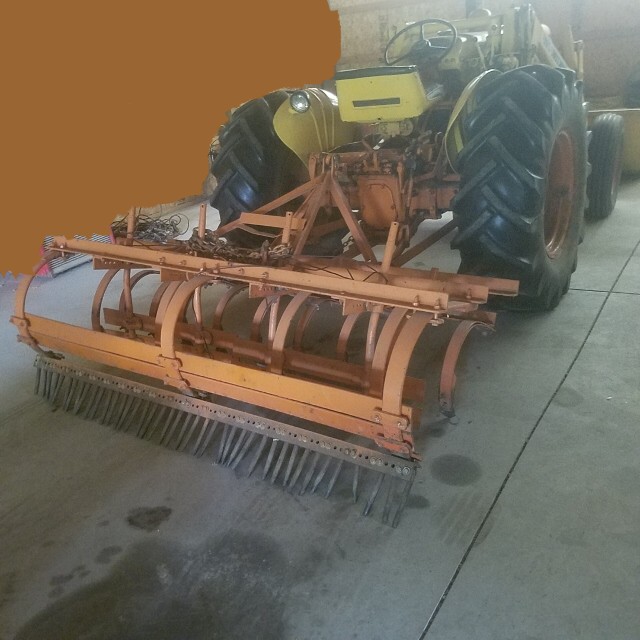 Auction Photo