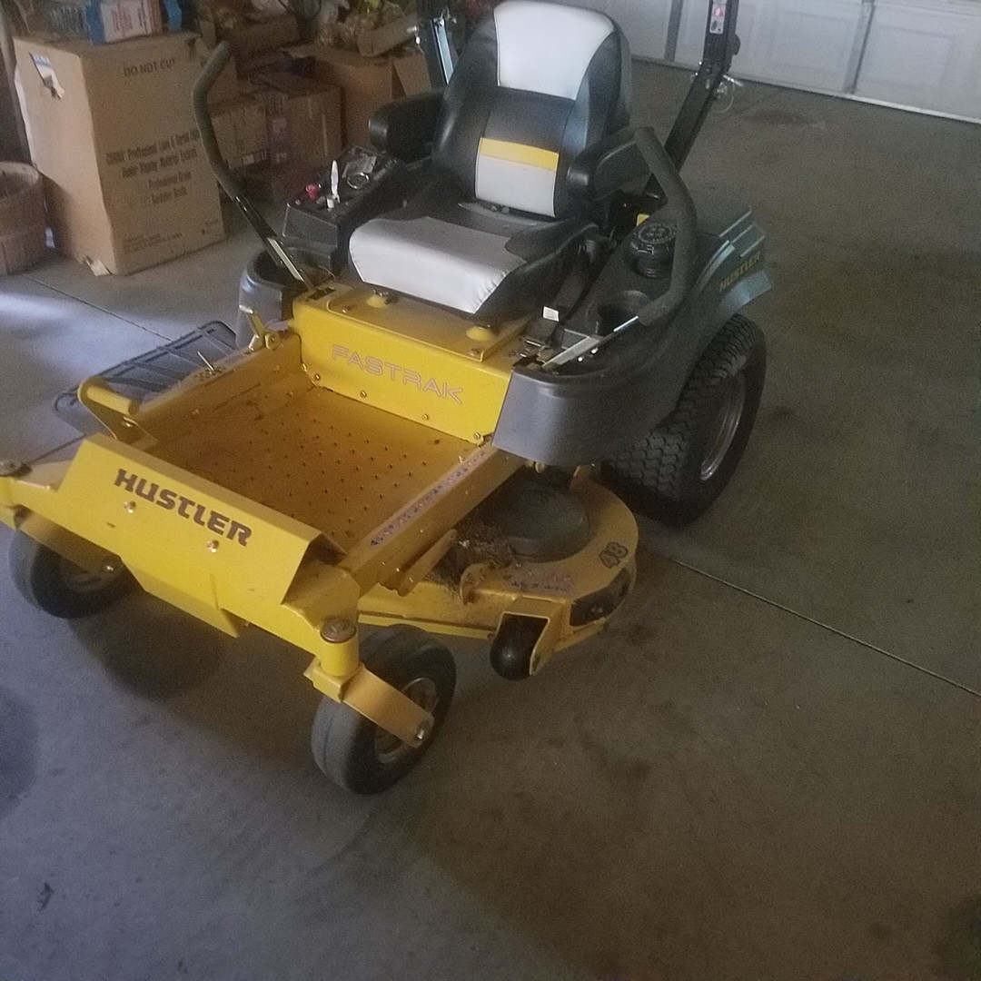 Auction Photo