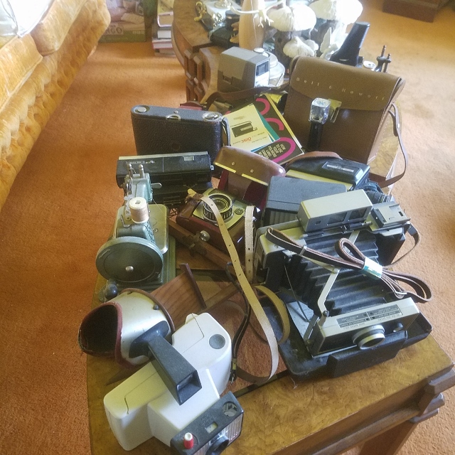 Auction Photo