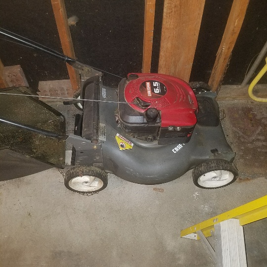 Auction Photo
