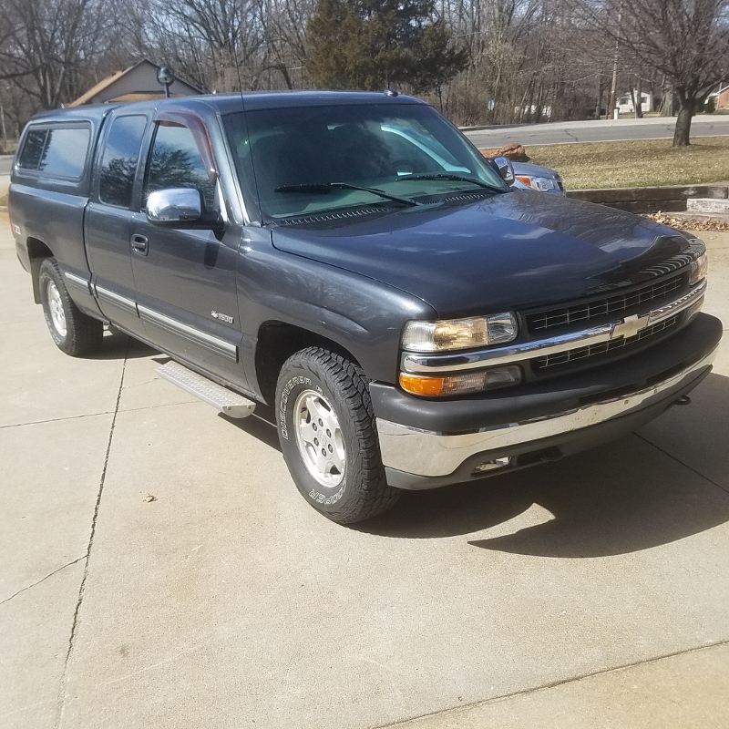 Auction Photo