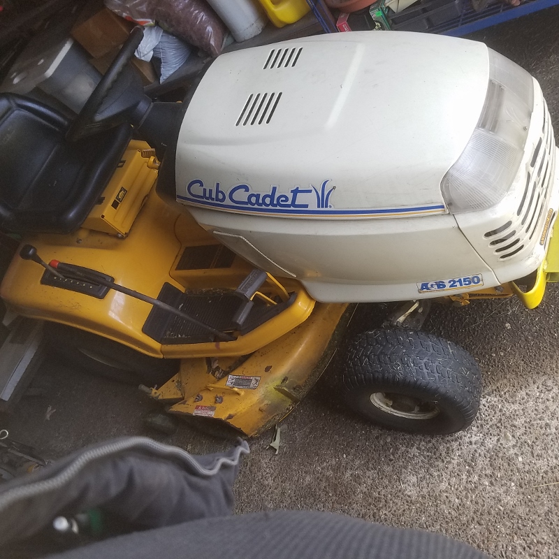 Auction Photo