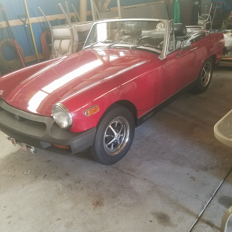 Auction Photo