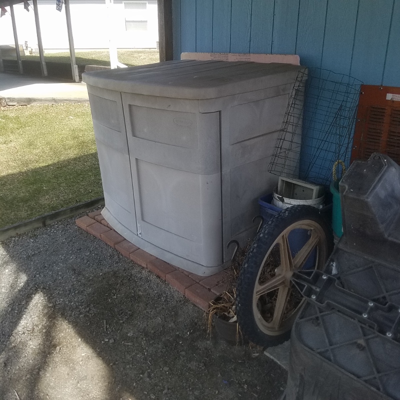 Auction Photo
