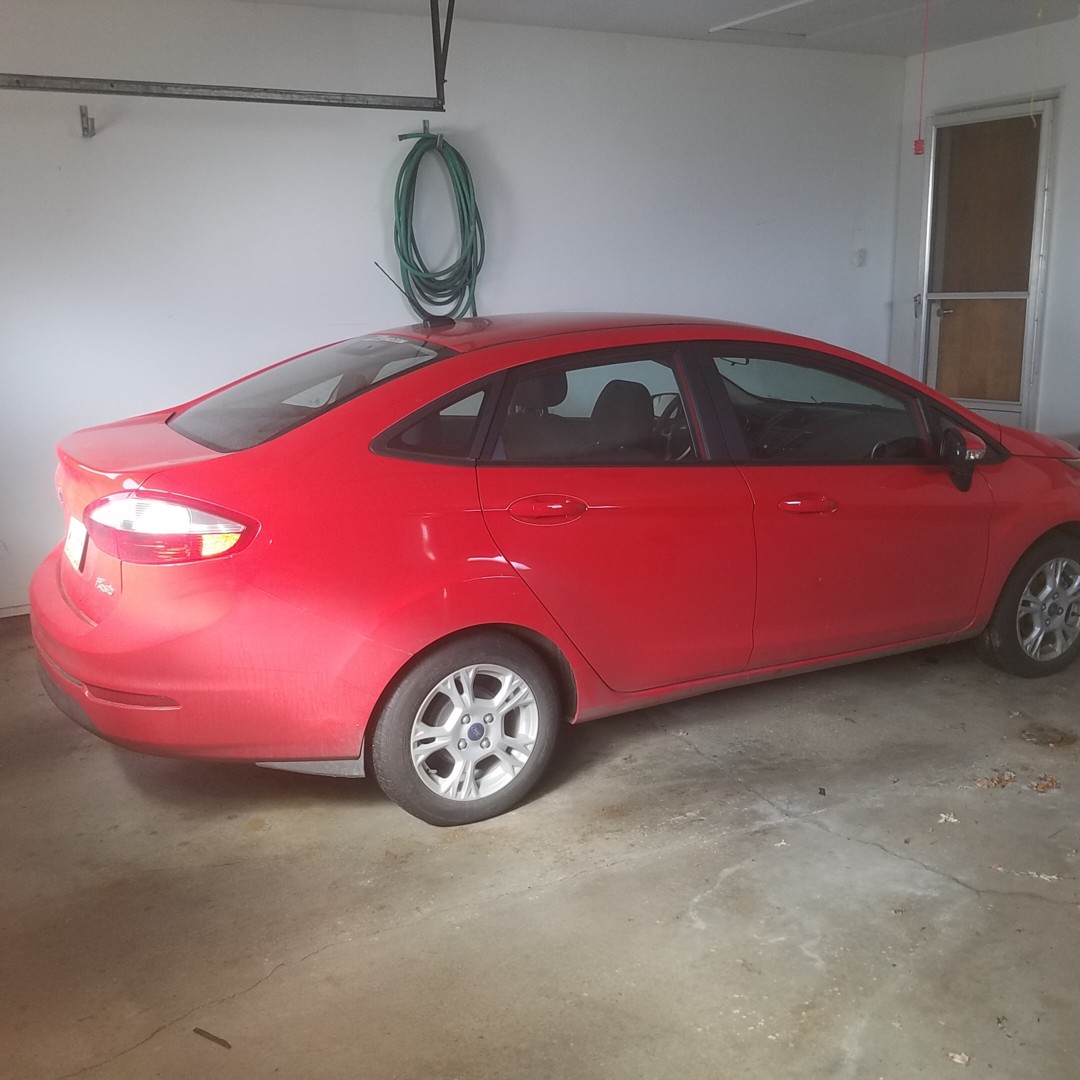 Auction Photo