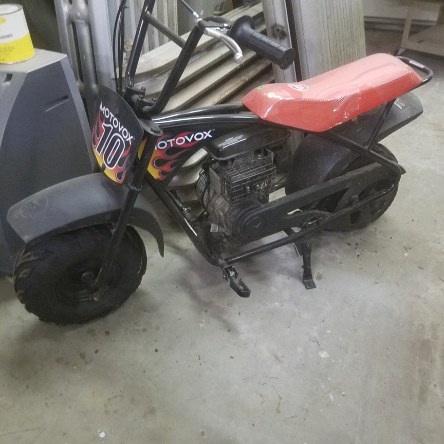 Auction Photo