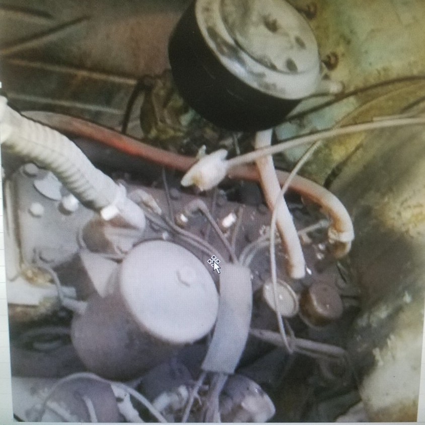 Auction Photo