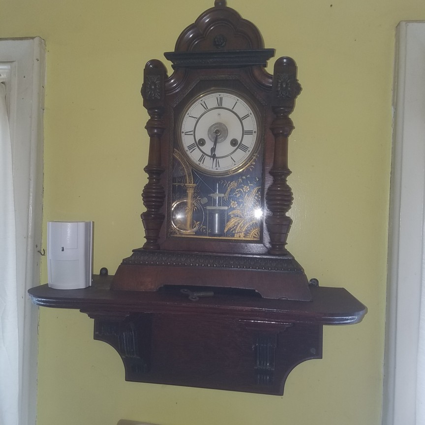 Auction Photo