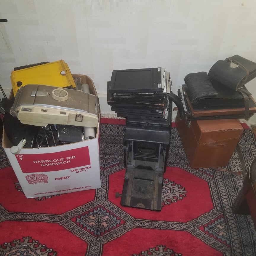 Auction Photo