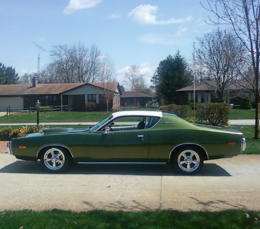 Auction Photo