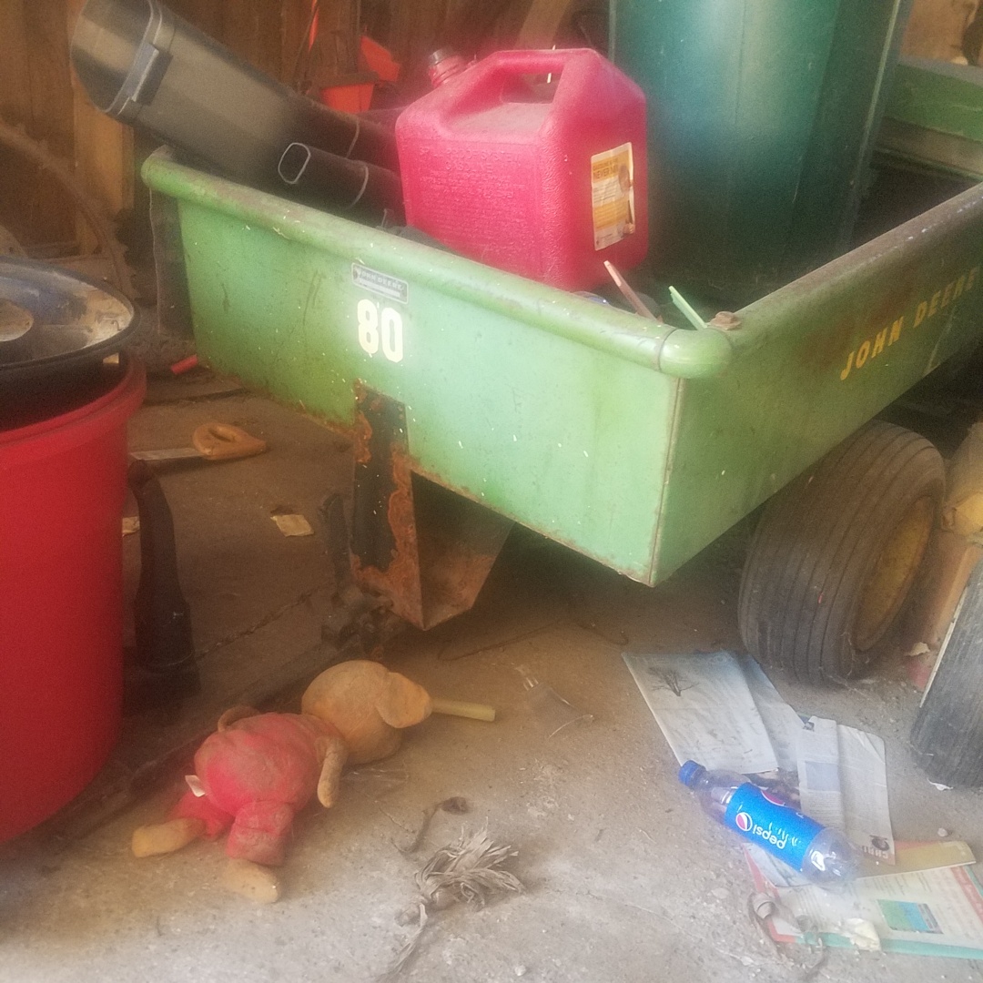 Auction Photo