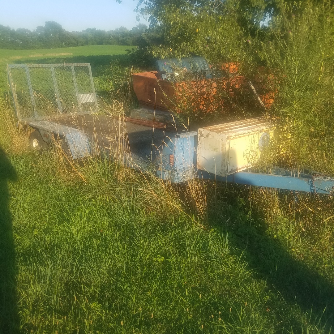 Auction Photo