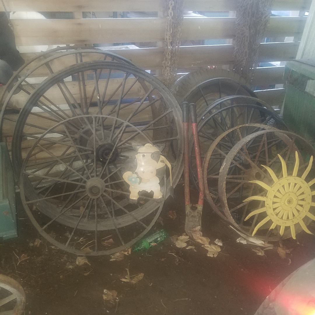 Auction Photo
