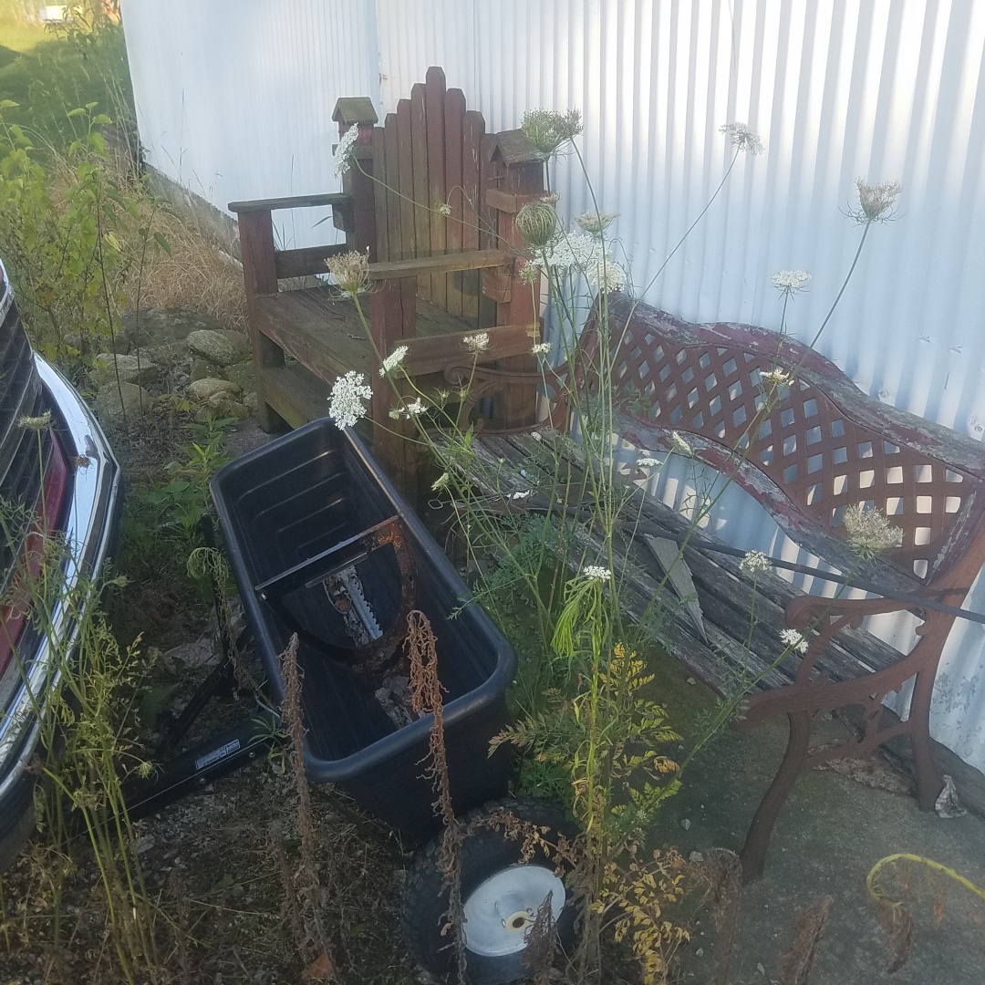 Auction Photo