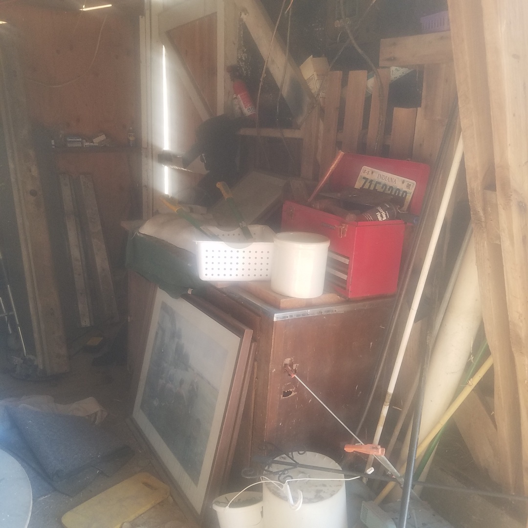 Auction Photo