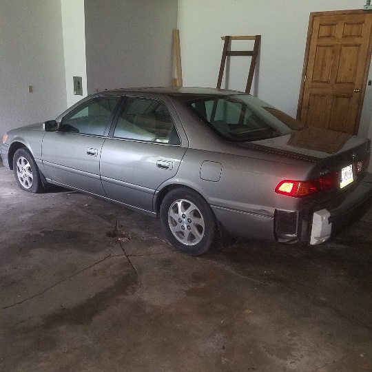 Auction Photo