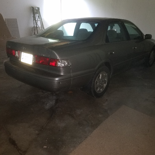 Auction Photo