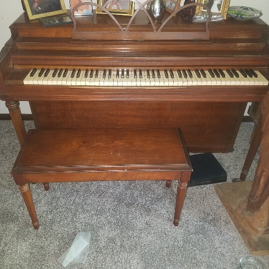 Auction Photo