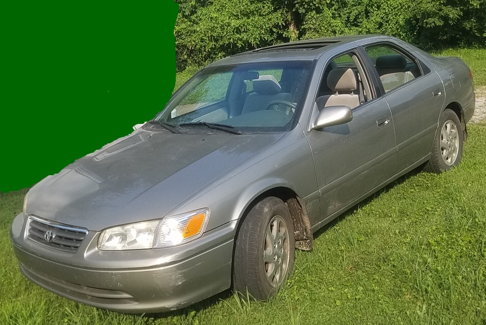 Auction Photo